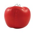 Delta Education Delta Education 1322524 Newtons Apples - Pack of 6 1322524